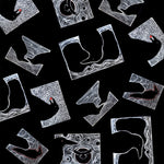 Raven Series Bandana