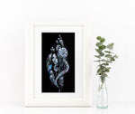 "Invertebrate Entanglement" Original and Prints