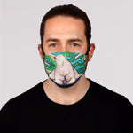 In Stock Adult Sized Face Masks Clearance