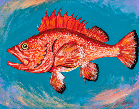 "Just a Rockfish" Art Prints