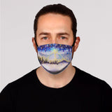 In Stock Adult Sized Face Masks Clearance