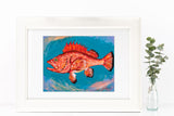 "Just a Rockfish" Art Prints